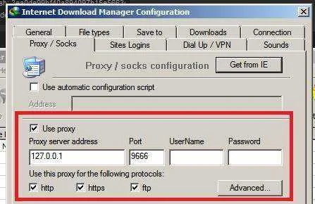 ss2.webp