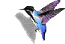 animated-bird-image-0086.gif