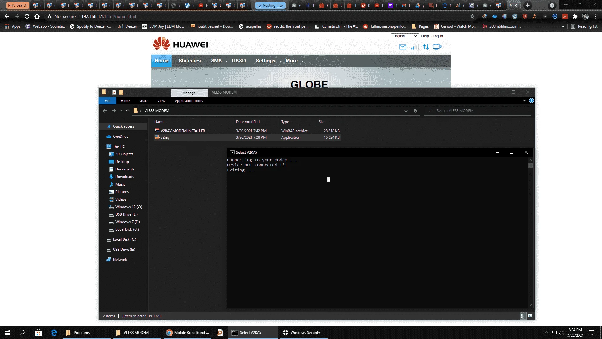 vless.webp