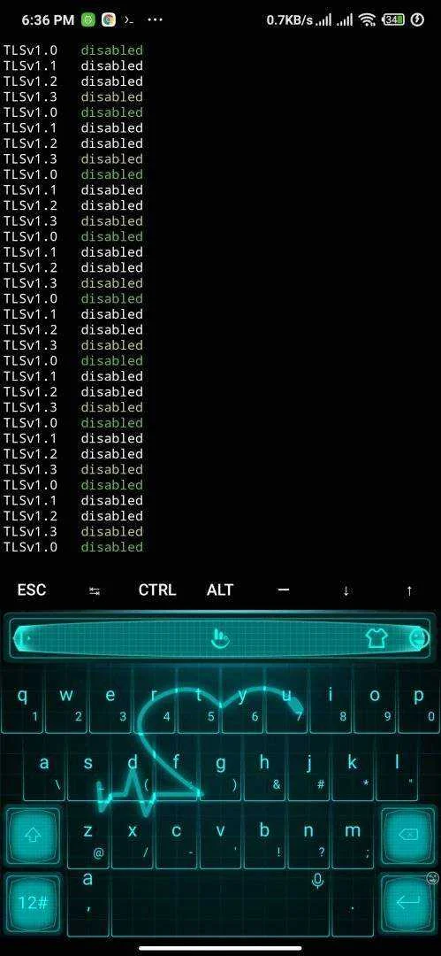 Screenshot_2021-03-25-18-36-09-226_com.termux.webp
