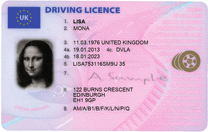 festisite_drivers-license_uk.png