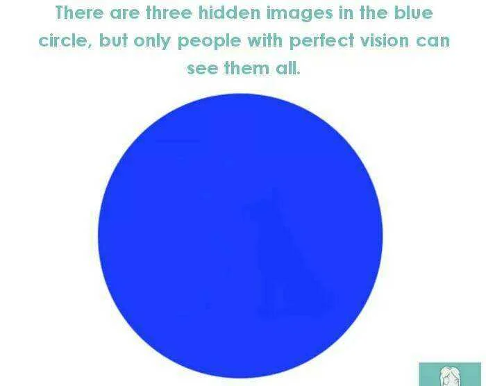 IMG_20170222_104536.webp