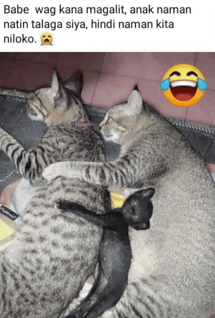 1616871516649.webp