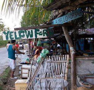 yellow.webp