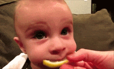 1485178441_sour-lemon-face.gif