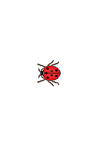 3zMw (1).gif