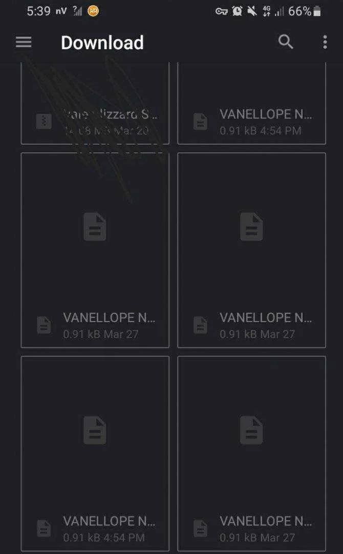 Screenshot_20210330-173956_Files.webp