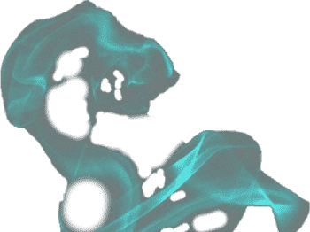 PicsArt_05-25-06.11.20.webp