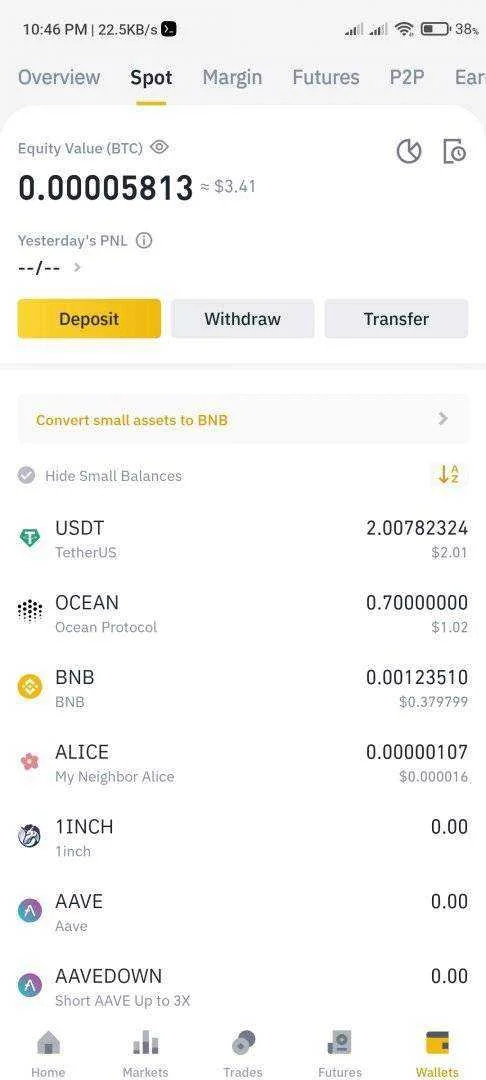 Screenshot_2021-03-31-22-46-49-427_com.binance.dev.webp