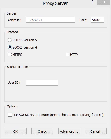 4.webp