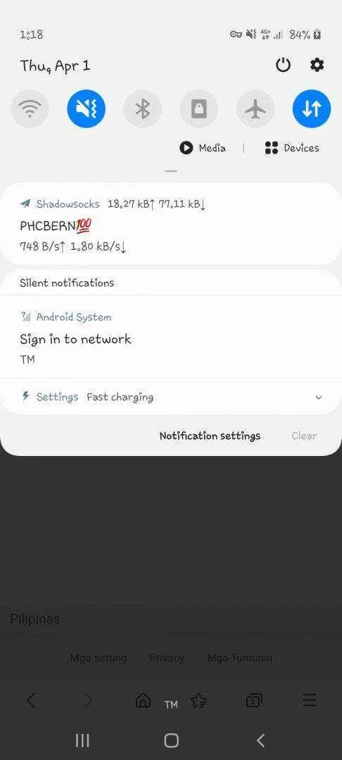Screenshot_20210401-131852_Samsung Internet.jpg
