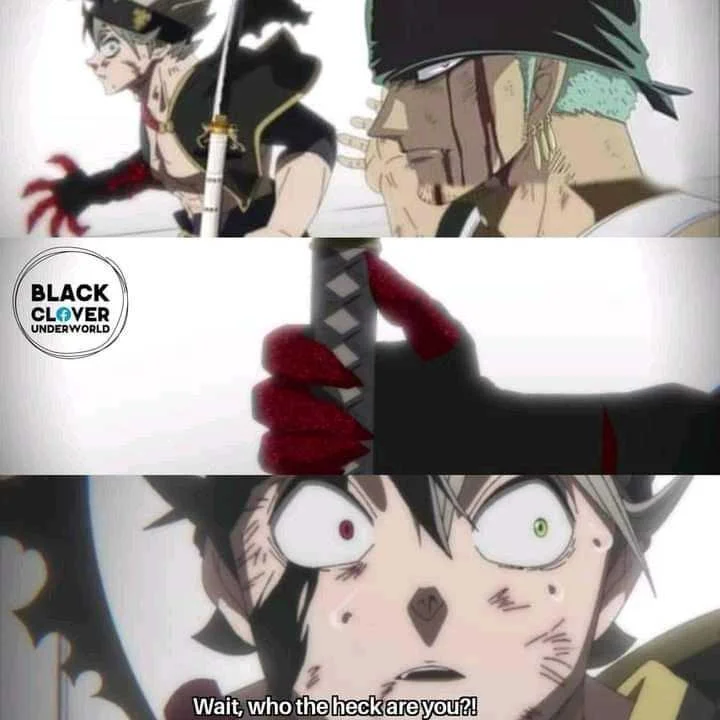 Zoro the explorer