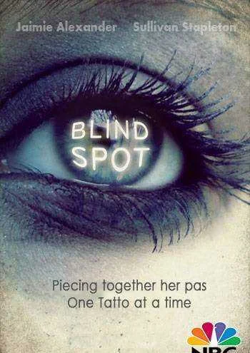 Blindspot s02e15 hdtv.x264
