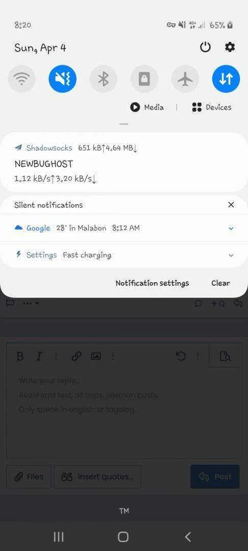 Screenshot_20210404-082049_Samsung Internet.webp