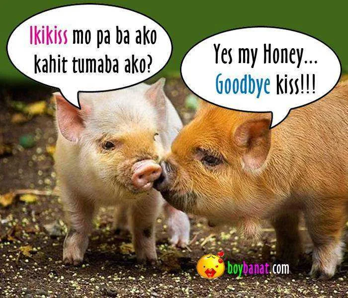 I Love You Goodbye Hahaha.webp