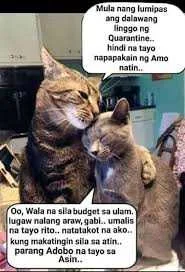 Kawawa naman sina Mingming.jpg