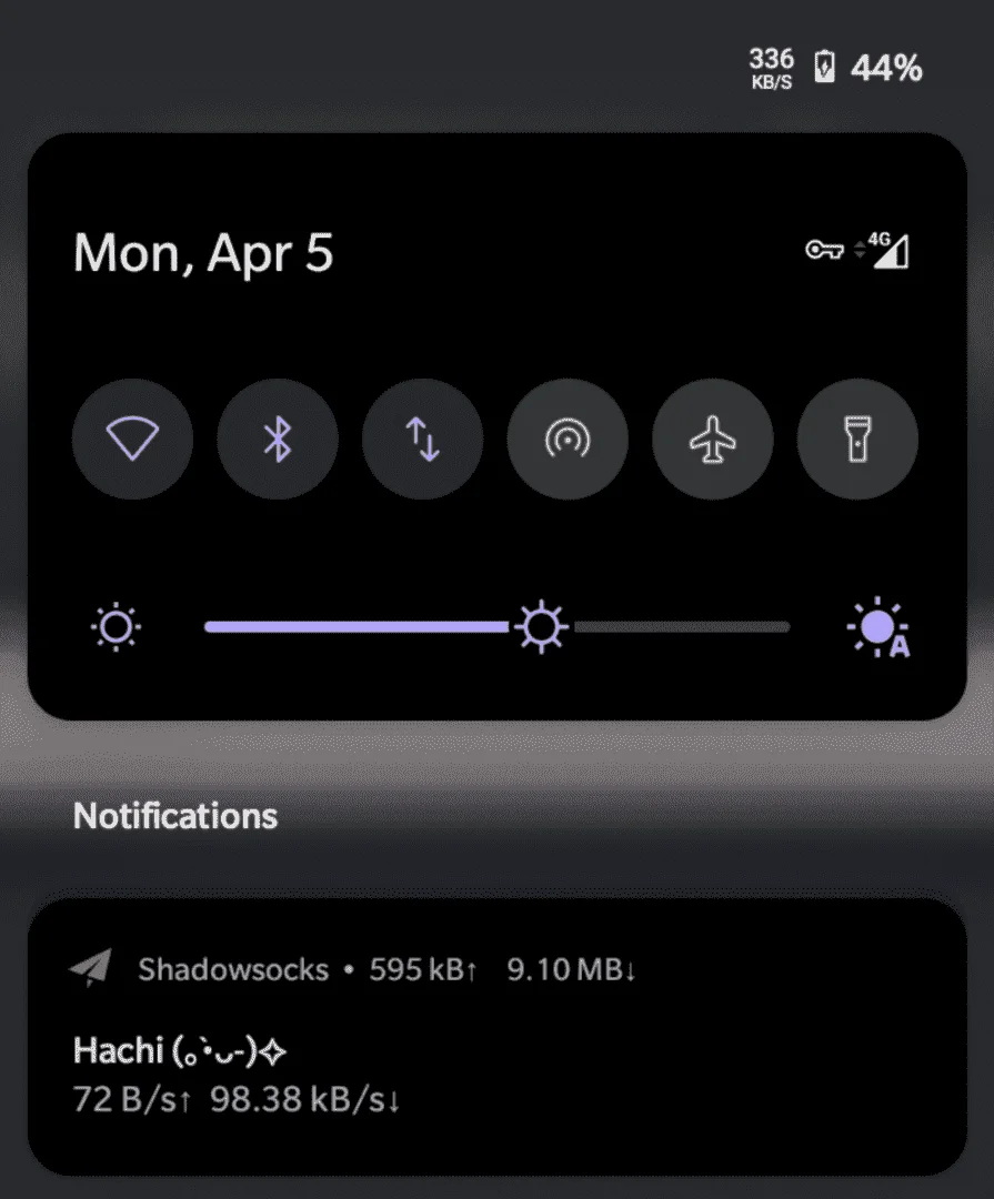 Screenshot_20210405-191917.webp