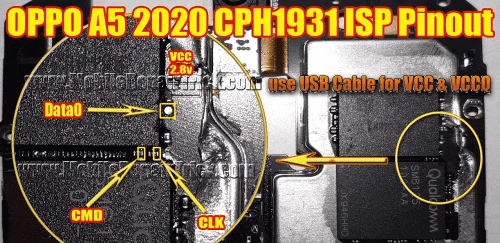Capture.webp