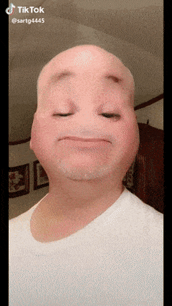 AgitatedEthicalFossa-size_restricted.gif