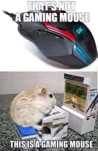 FB_IMG_1488033953770.webp