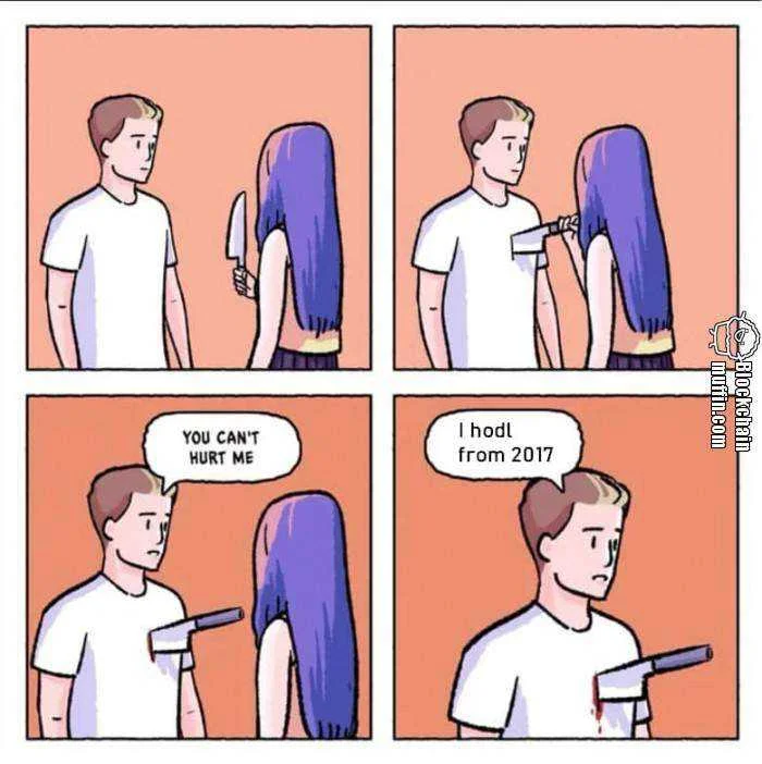 Bitcoin-hodler-lvl-indestructible.jpg