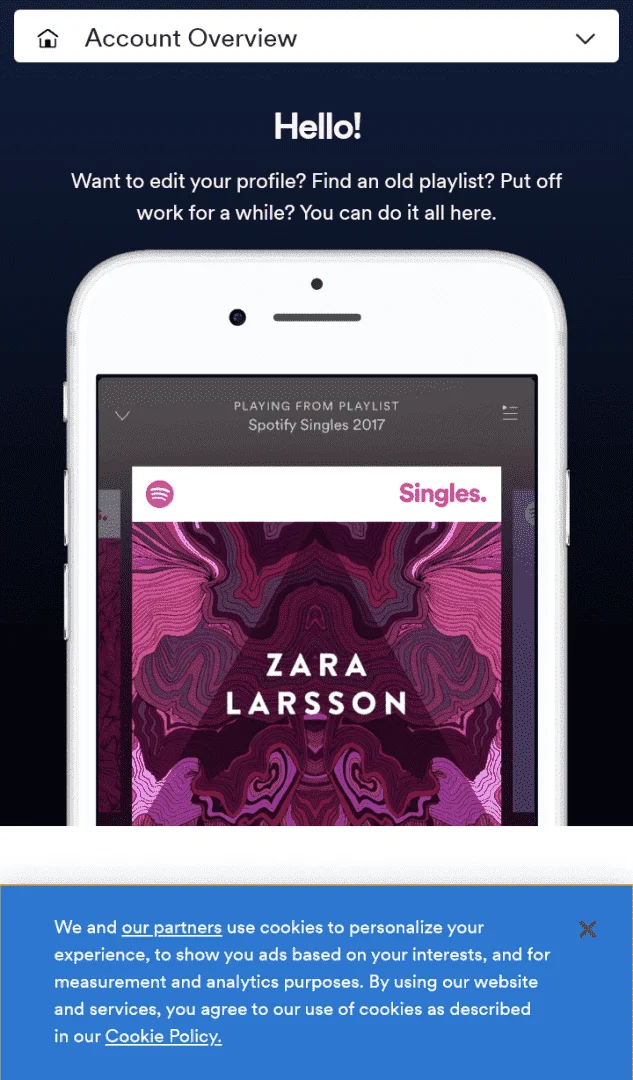 snapshot_www.spotify.com_1617884349204.webp