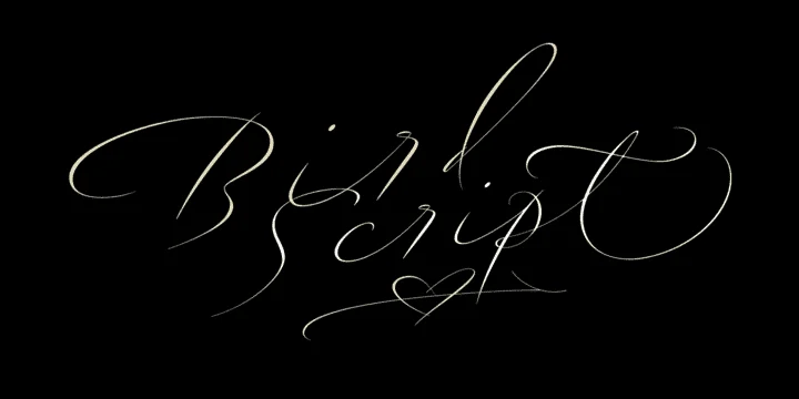 bds1.webp