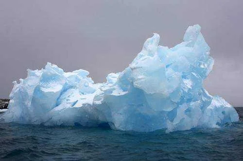 ice berg.webp