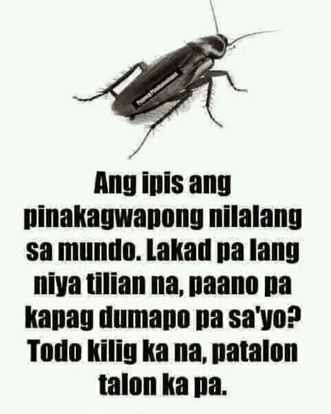1618475776658.webp