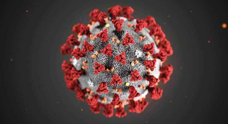 Brazil's P1 coronavirus variant mutating, may become more dangerous study