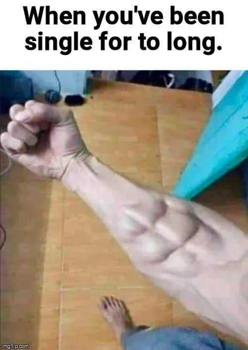 70430785_519466475532142_8983529668497899520_n.webp