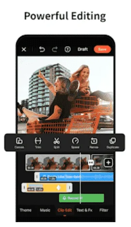 VIVA.webp