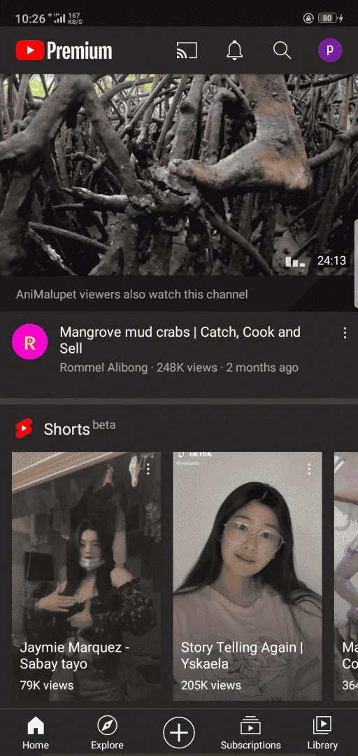 Screenshot_2021-04-18-10-26-31-53.webp