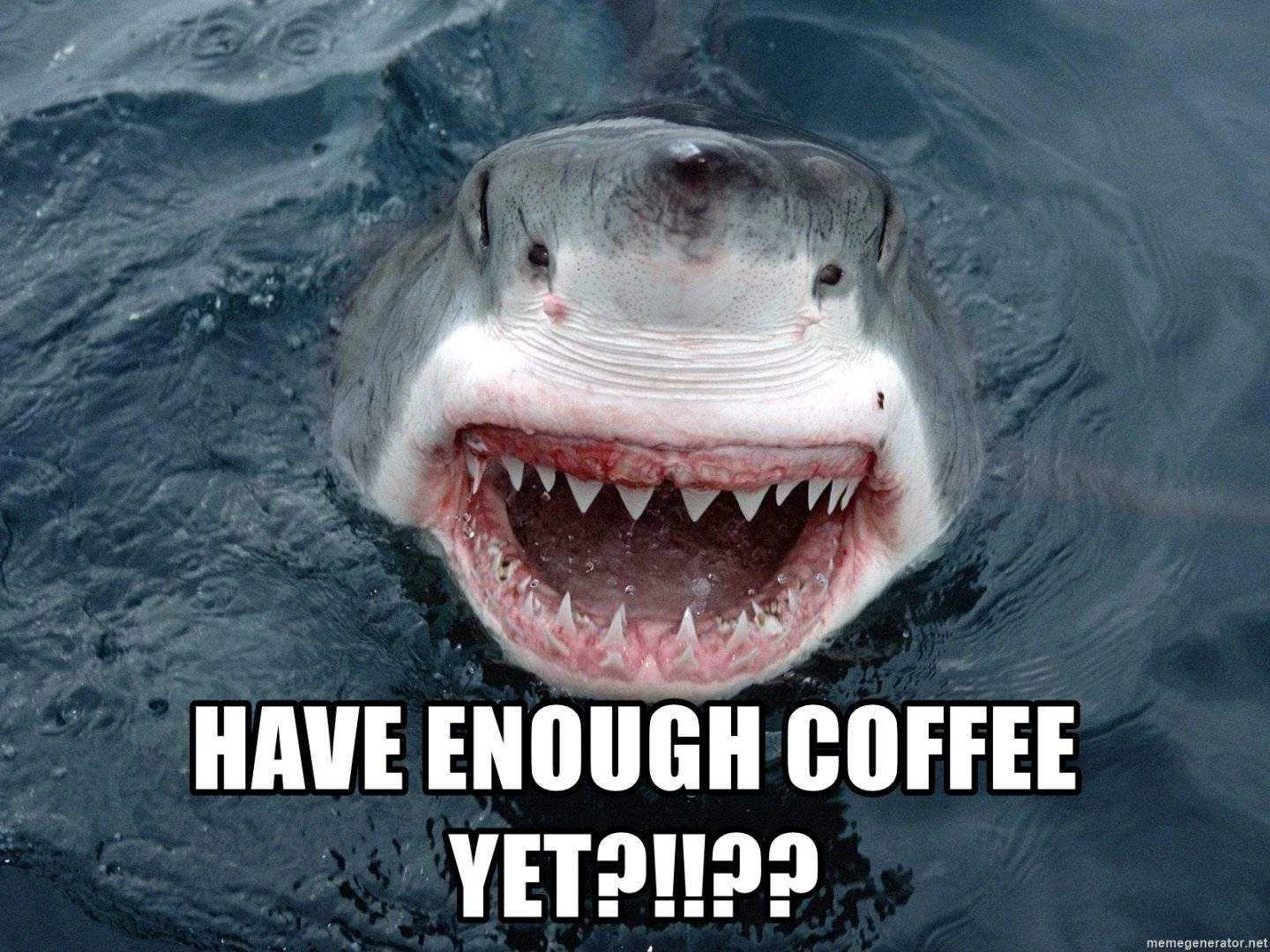 have-enough-coffee-yet.webp