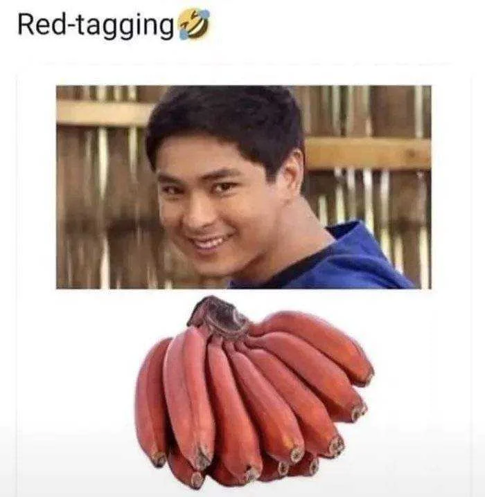 Di-po-ito-ta-akin-nakita-ko-lang-ta-petbuk.webp