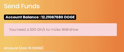 doge.webp
