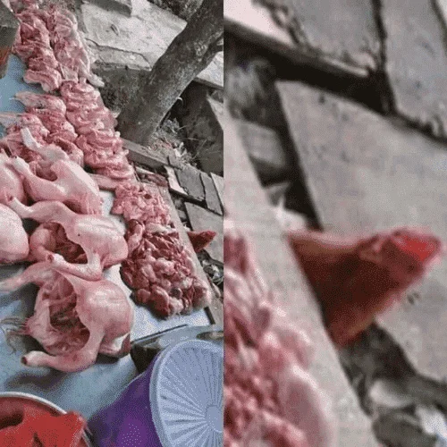Paktay ka susunod ka na.png