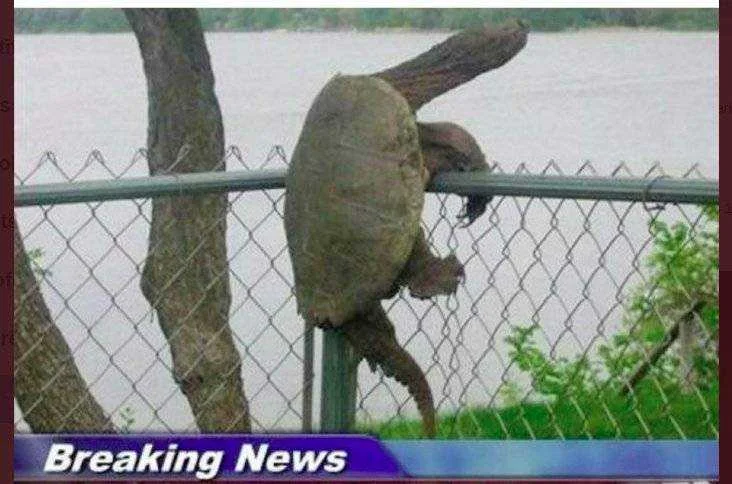 breaking news.jpg