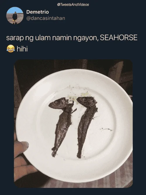 Seahorse.webp