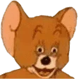 JerryWhat.webp