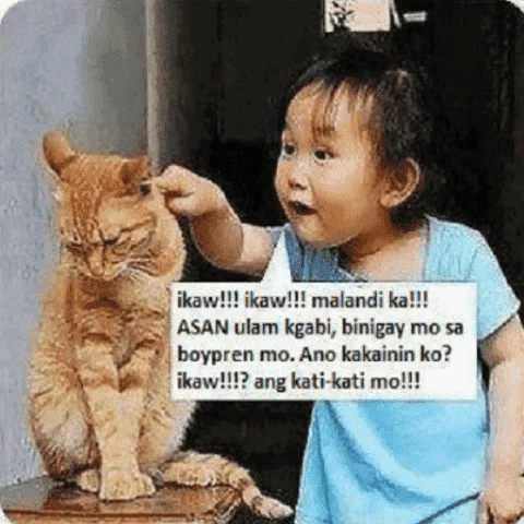 malanding pusa.webp