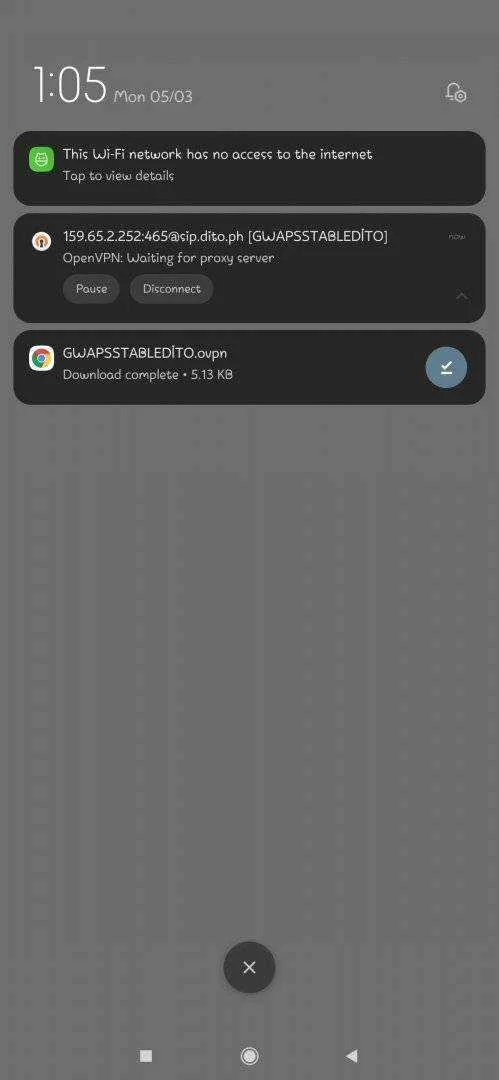 Screenshot_2021-05-03-13-05-46-128_net.openvpn.openvpn.webp