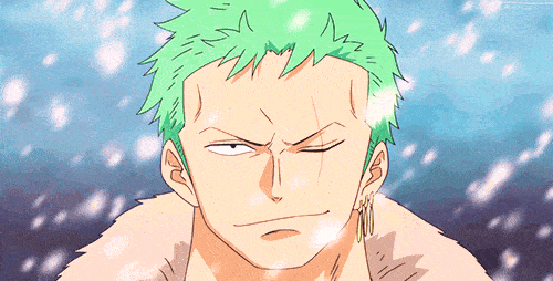e031956dd60713dc207485edce9e2e13dcb4d460r1-500-254_hq.gif