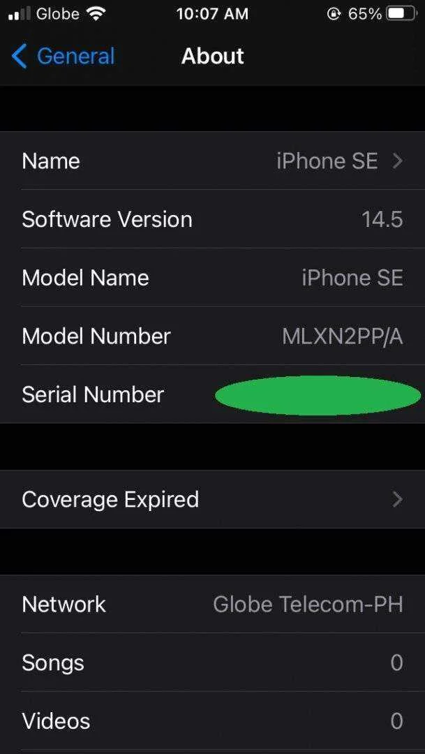 iPhone SE iOS 14.5.webp
