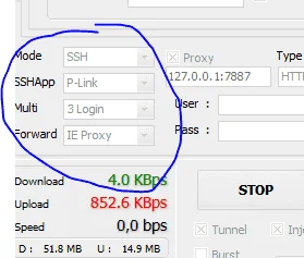 phvc.webp