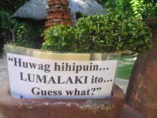 Alis na tayo Besh lumalaki yan.webp