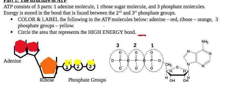 CH3.webp
