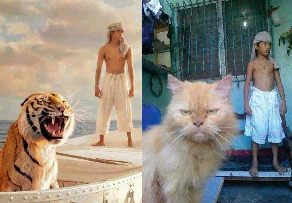 life of pi.webp