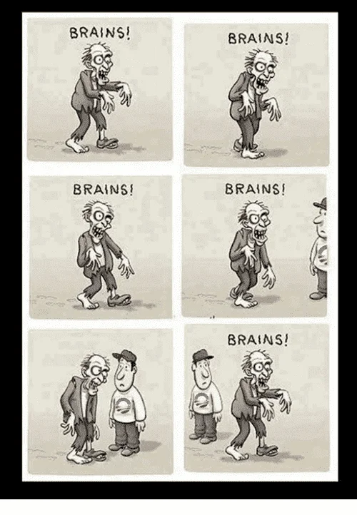 Brains brains.webp