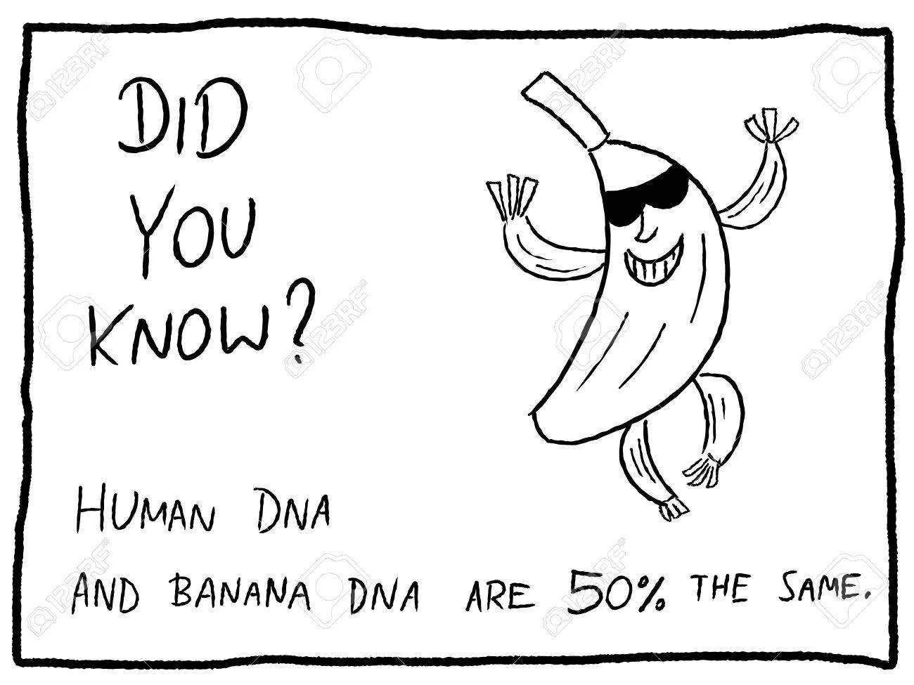 44185407-fun-fact-trivia-useful-doodle-cartoon-illustration-usable-as-a-webcomic-or-for-funny...webp